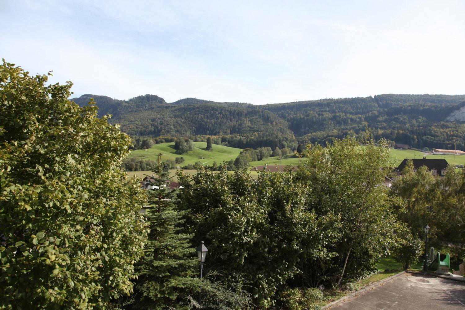 Hotel Gasthof Kreuz Welschenrohr Zewnętrze zdjęcie